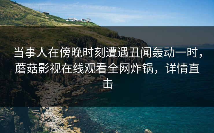 当事人在傍晚时刻遭遇丑闻轰动一时，蘑菇影视在线观看全网炸锅，详情直击