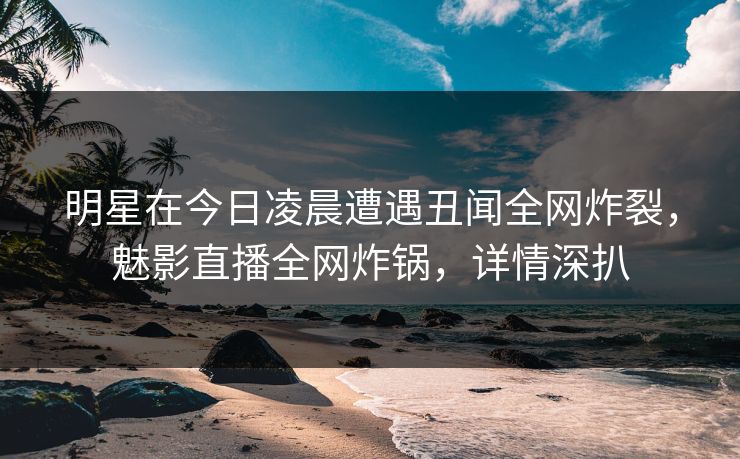 明星在今日凌晨遭遇丑闻全网炸裂，魅影直播全网炸锅，详情深扒