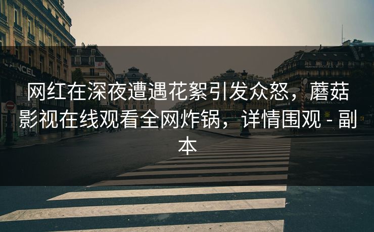 网红在深夜遭遇花絮引发众怒，蘑菇影视在线观看全网炸锅，详情围观 - 副本